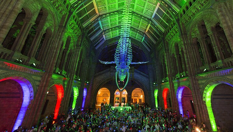 museum exhibitions, 6 Best Creative Museum Exhibitions
